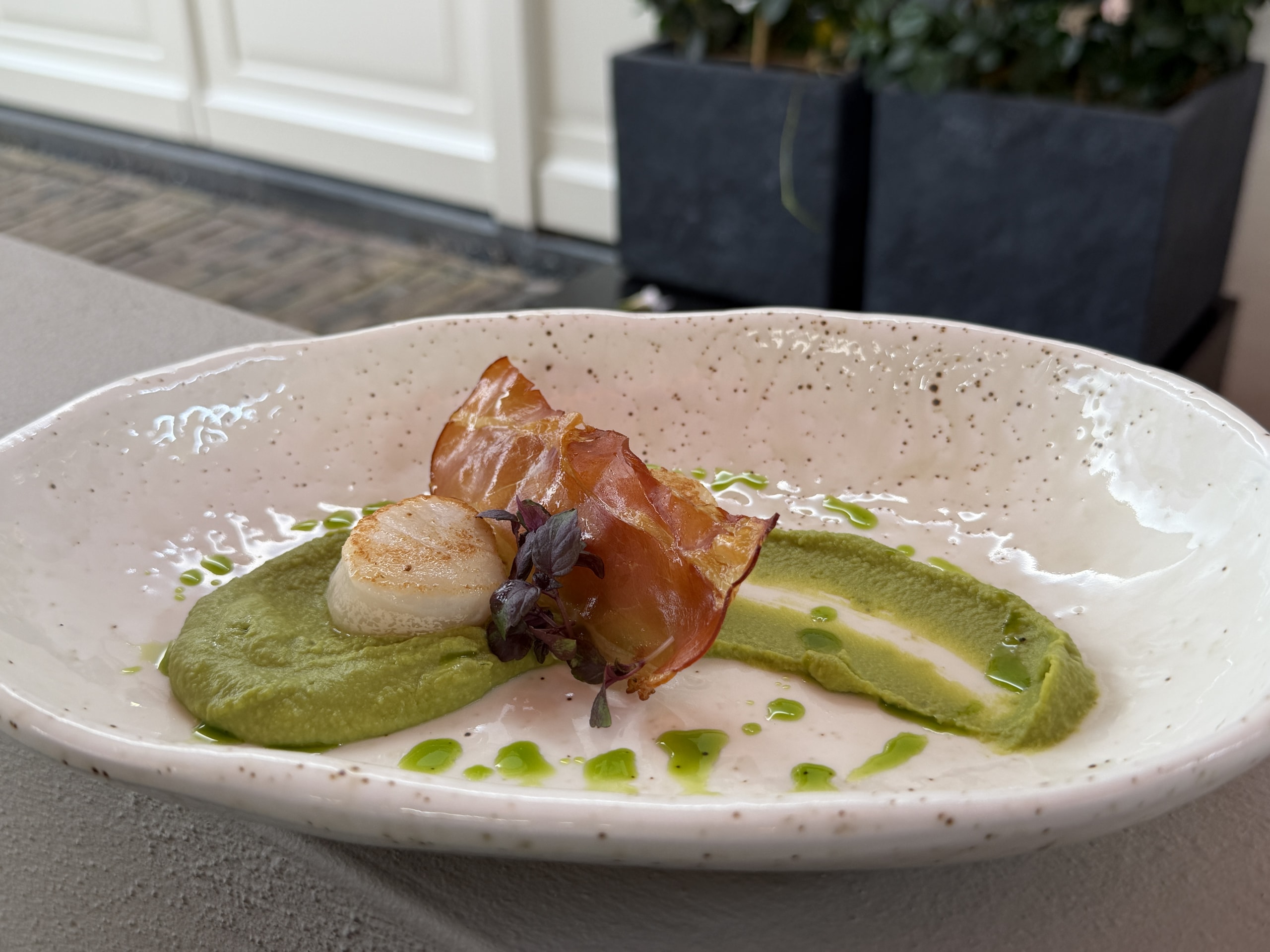 Gebakken coquille met krokante ham op doperwtencrème, in een gespikkelde schaal.